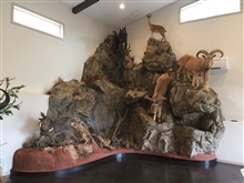 Trophy Rooms and mountain design