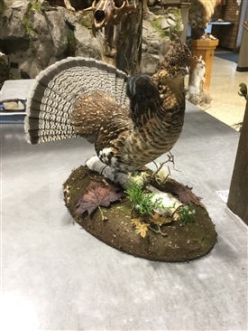 Grouse