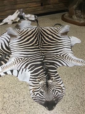 Zebra rug