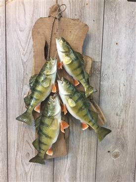Perch