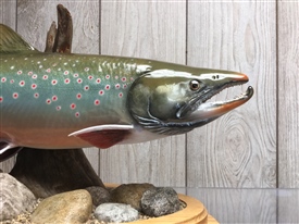 Artic char