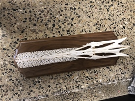 Paddle fish