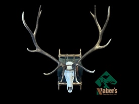 Elk